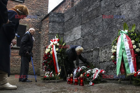 71. Rocznica wyzwolenia Obozu koncentracyjnego Auschwitz Birkenau