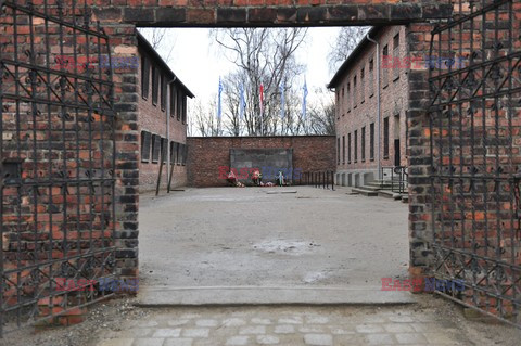 71. Rocznica wyzwolenia Obozu koncentracyjnego Auschwitz Birkenau