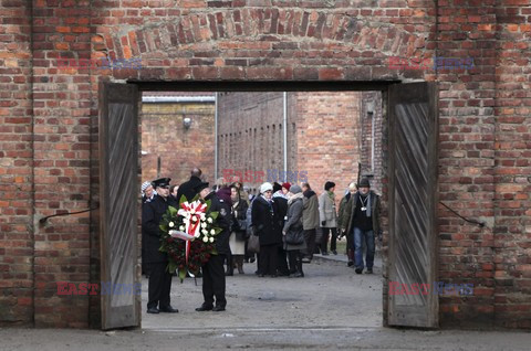 71. Rocznica wyzwolenia Obozu koncentracyjnego Auschwitz Birkenau