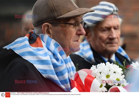 71. Rocznica wyzwolenia Obozu koncentracyjnego Auschwitz Birkenau