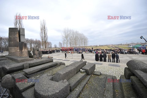 71. Rocznica wyzwolenia Obozu koncentracyjnego Auschwitz Birkenau