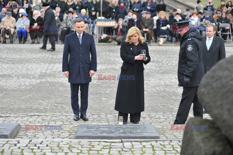 71. Rocznica wyzwolenia Obozu koncentracyjnego Auschwitz Birkenau