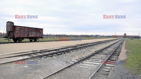 71. Rocznica wyzwolenia Obozu koncentracyjnego Auschwitz Birkenau