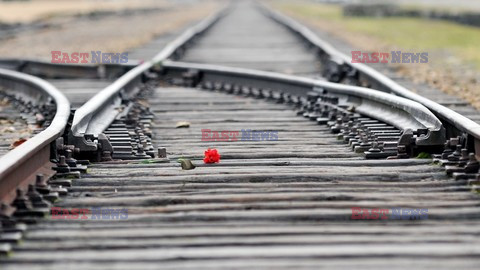 71. Rocznica wyzwolenia Obozu koncentracyjnego Auschwitz Birkenau