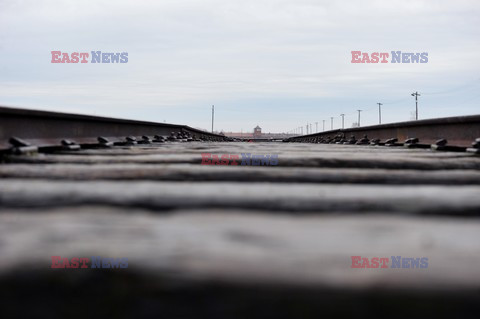 71. Rocznica wyzwolenia Obozu koncentracyjnego Auschwitz Birkenau