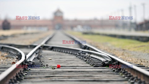 71. Rocznica wyzwolenia Obozu koncentracyjnego Auschwitz Birkenau