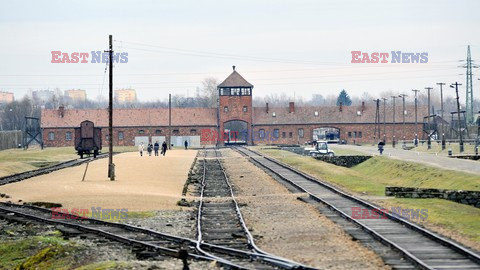 71. Rocznica wyzwolenia Obozu koncentracyjnego Auschwitz Birkenau