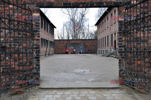 71. Rocznica wyzwolenia Obozu koncentracyjnego Auschwitz Birkenau