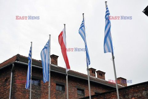 71. Rocznica wyzwolenia Obozu koncentracyjnego Auschwitz Birkenau