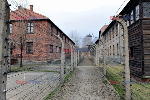 71. Rocznica wyzwolenia Obozu koncentracyjnego Auschwitz Birkenau