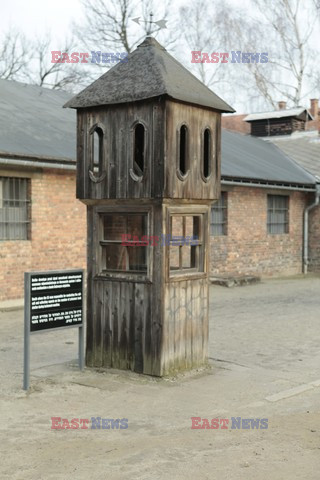 71. Rocznica wyzwolenia Obozu koncentracyjnego Auschwitz Birkenau