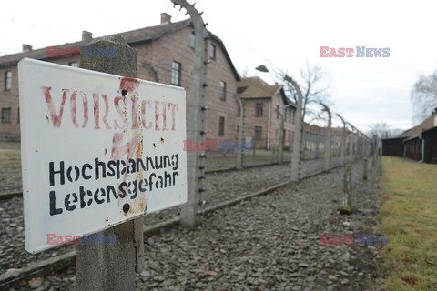 71. Rocznica wyzwolenia Obozu koncentracyjnego Auschwitz Birkenau