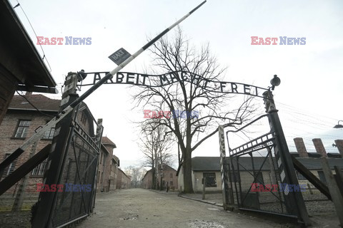 71. Rocznica wyzwolenia Obozu koncentracyjnego Auschwitz Birkenau