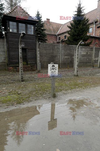 71. Rocznica wyzwolenia Obozu koncentracyjnego Auschwitz Birkenau