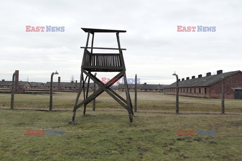 71. Rocznica wyzwolenia Obozu koncentracyjnego Auschwitz Birkenau