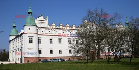 Polska Monk