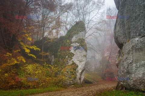 Ojcowski Park Narodowy Adam Ławnik