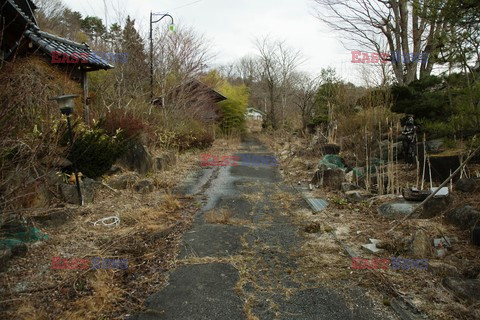 Fukushima 5 lat po tragedii - Redux
