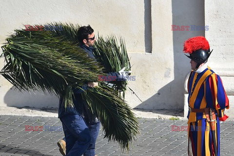 Niedziela palmowa w Watykanie