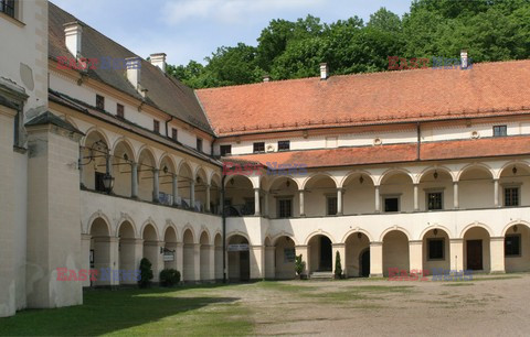 Polska Monk