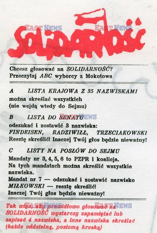 Wybory parlamentarne 1989