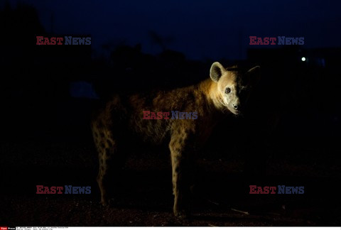 Harar, miasto kolorów - Sipa Press