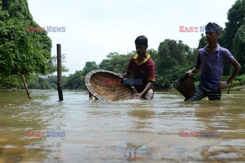 Szafiry ze Sri Lanki - AFP