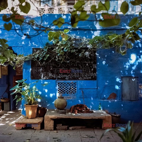 Jodhpur, niebieskie miasto - AFP