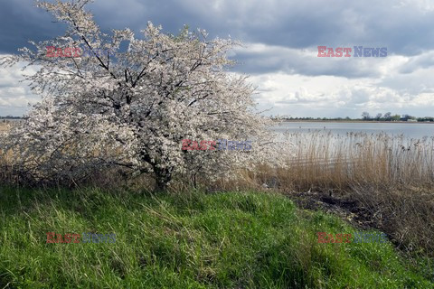 Pomorze MarMi