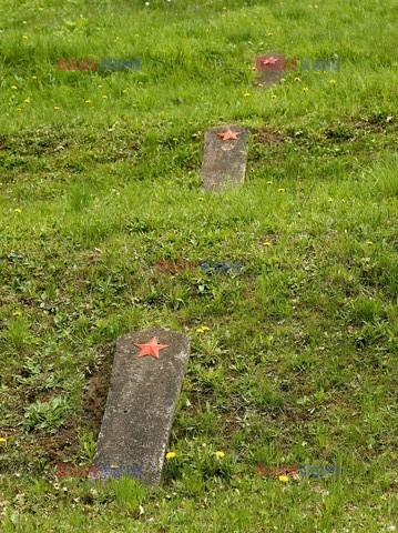 Małopolska Monk