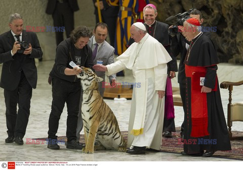 Papież Franciszek z tygrysem. Cyrkowcy u papieża