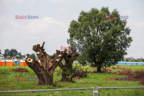 Przygotowania w Brzegach na ŚDM