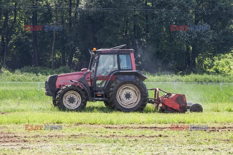 Przygotowania w Brzegach na ŚDM