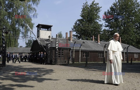 ŚDM 2016 - Auschwitz-Birkenau