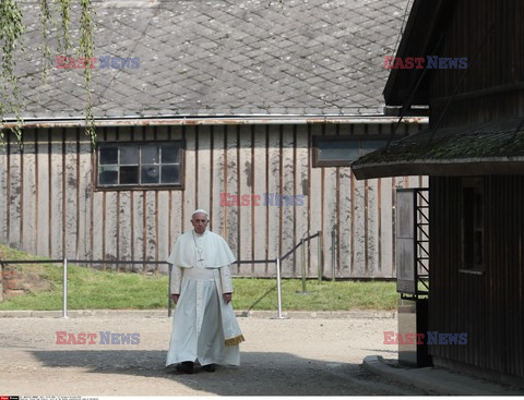 ŚDM 2016 - Auschwitz-Birkenau