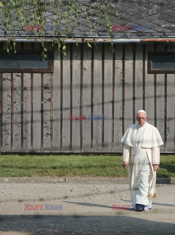 ŚDM 2016 - Auschwitz-Birkenau