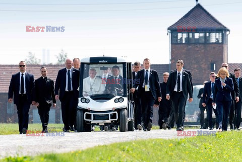 ŚDM 2016 - Auschwitz-Birkenau