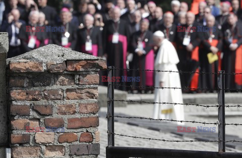 ŚDM 2016 - Auschwitz-Birkenau