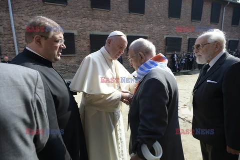 ŚDM 2016 - Auschwitz-Birkenau