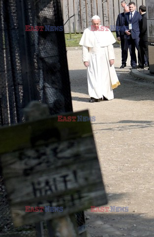 ŚDM 2016 - Auschwitz-Birkenau