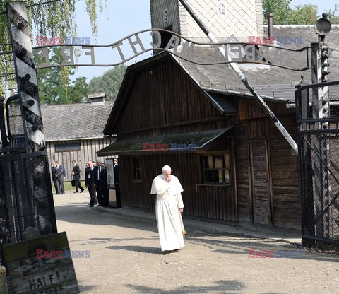 ŚDM 2016 - Auschwitz-Birkenau