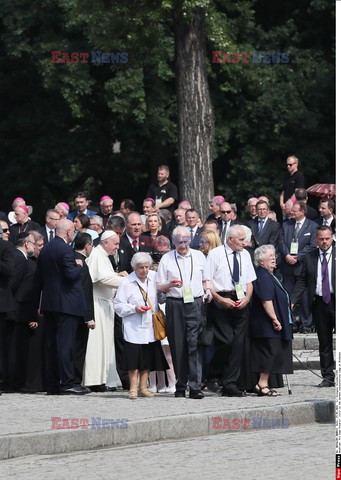 ŚDM 2016 - Auschwitz-Birkenau