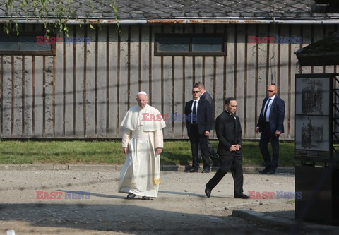 ŚDM 2016 - Auschwitz-Birkenau