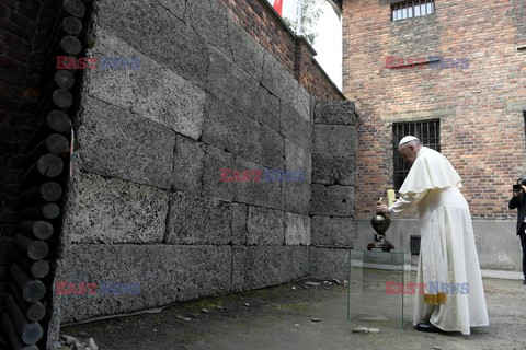 ŚDM 2016 - Auschwitz-Birkenau