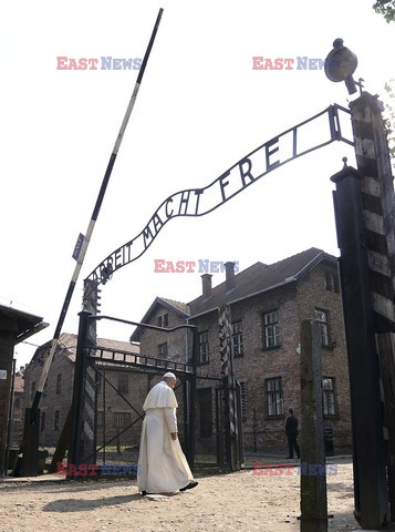 ŚDM 2016 - Auschwitz-Birkenau