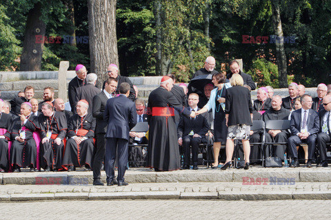 ŚDM 2016 - Auschwitz-Birkenau