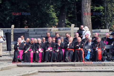 ŚDM 2016 - Auschwitz-Birkenau