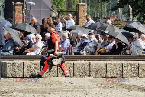 ŚDM 2016 - Auschwitz-Birkenau