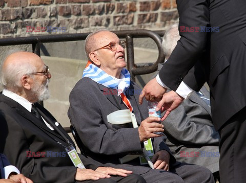 ŚDM 2016 - Auschwitz-Birkenau