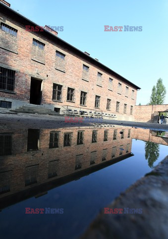 ŚDM 2016 - Auschwitz-Birkenau